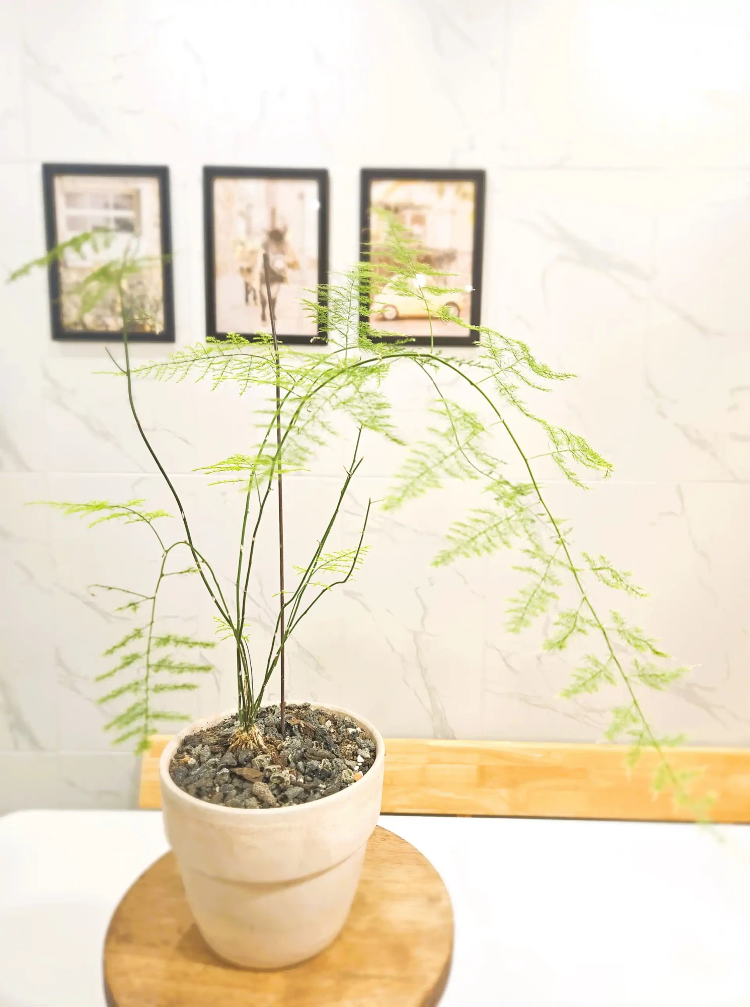 숙소 이미지 25