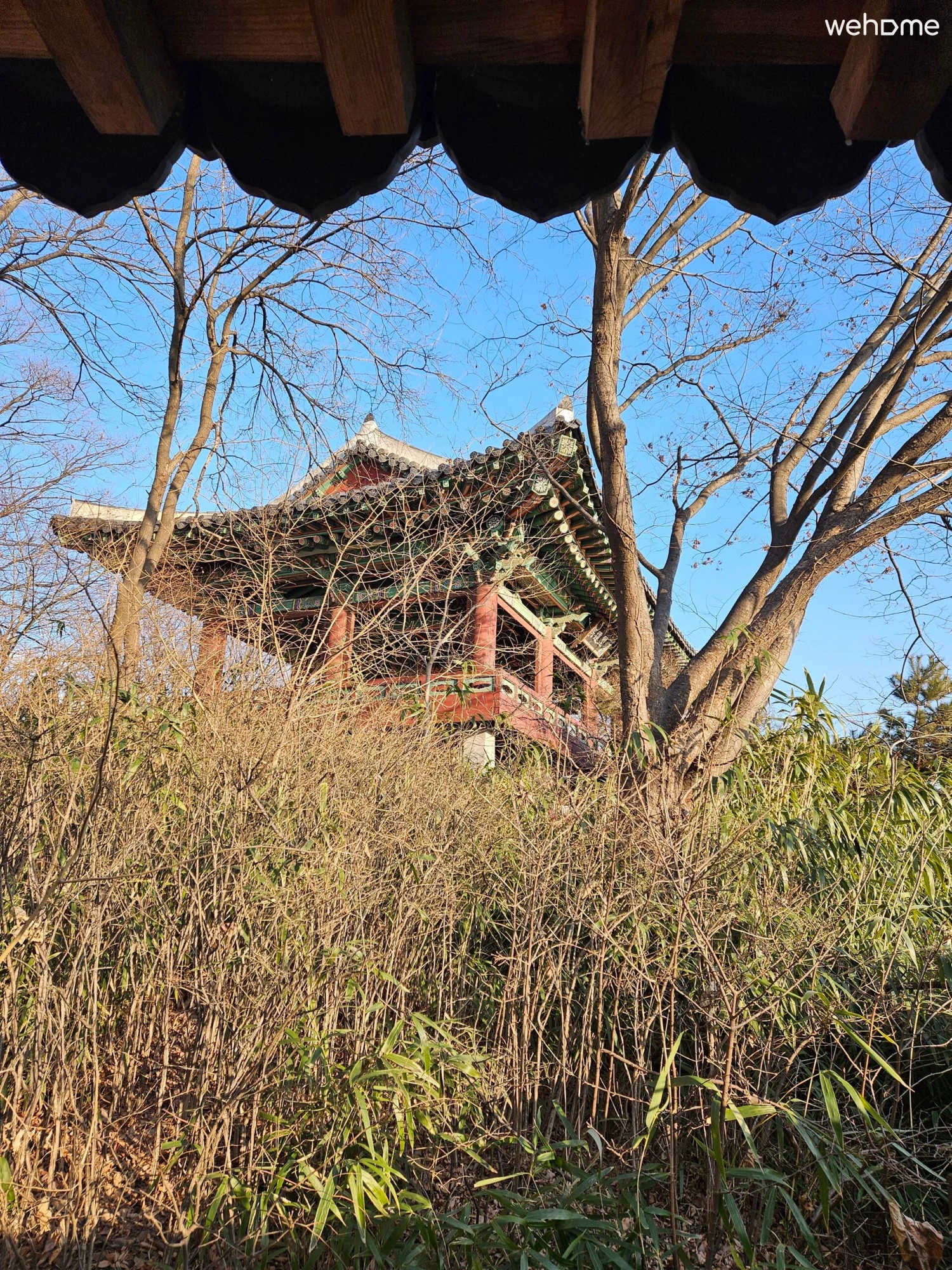 숙소 이미지 204