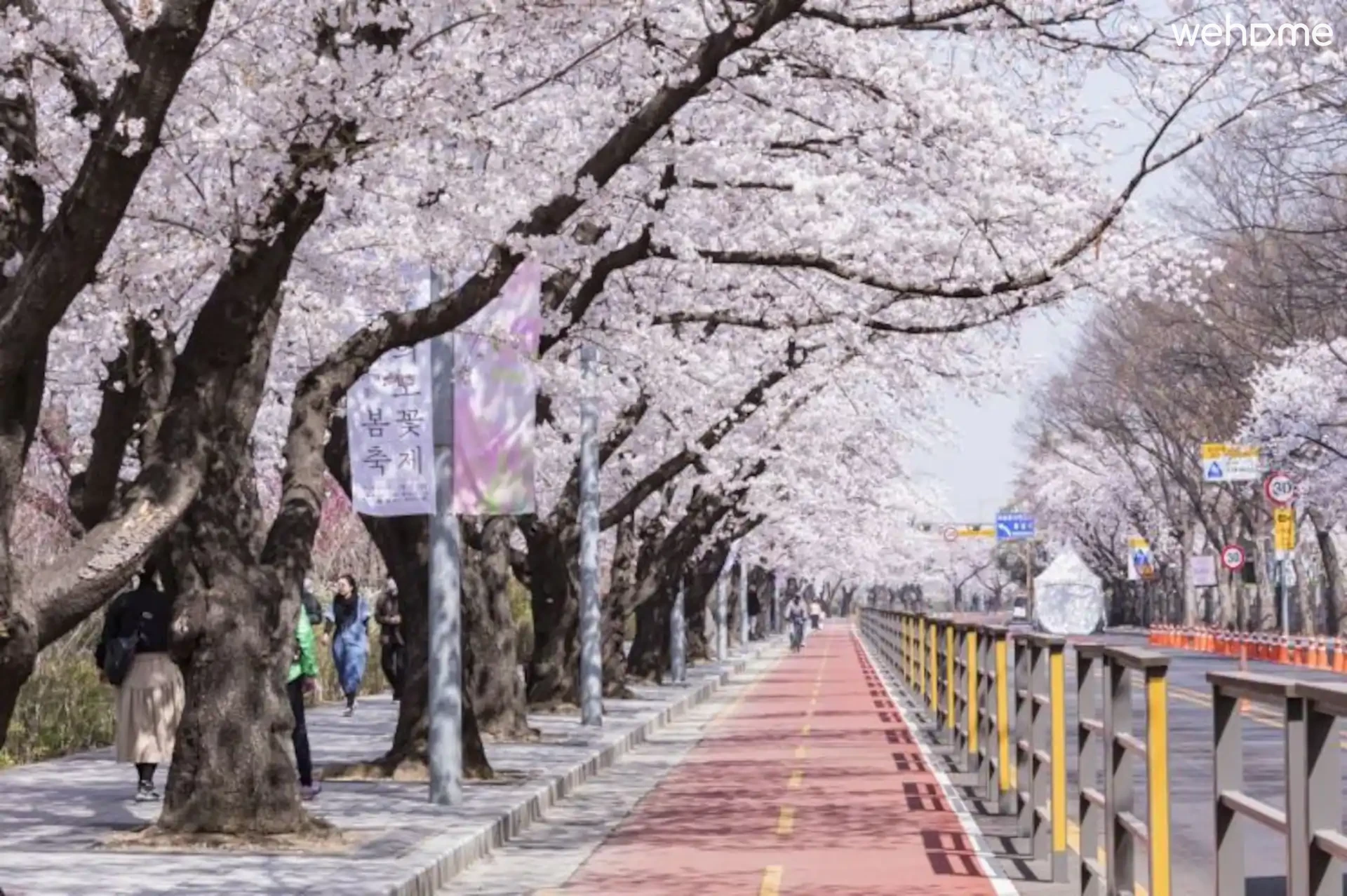 숙소 이미지 211