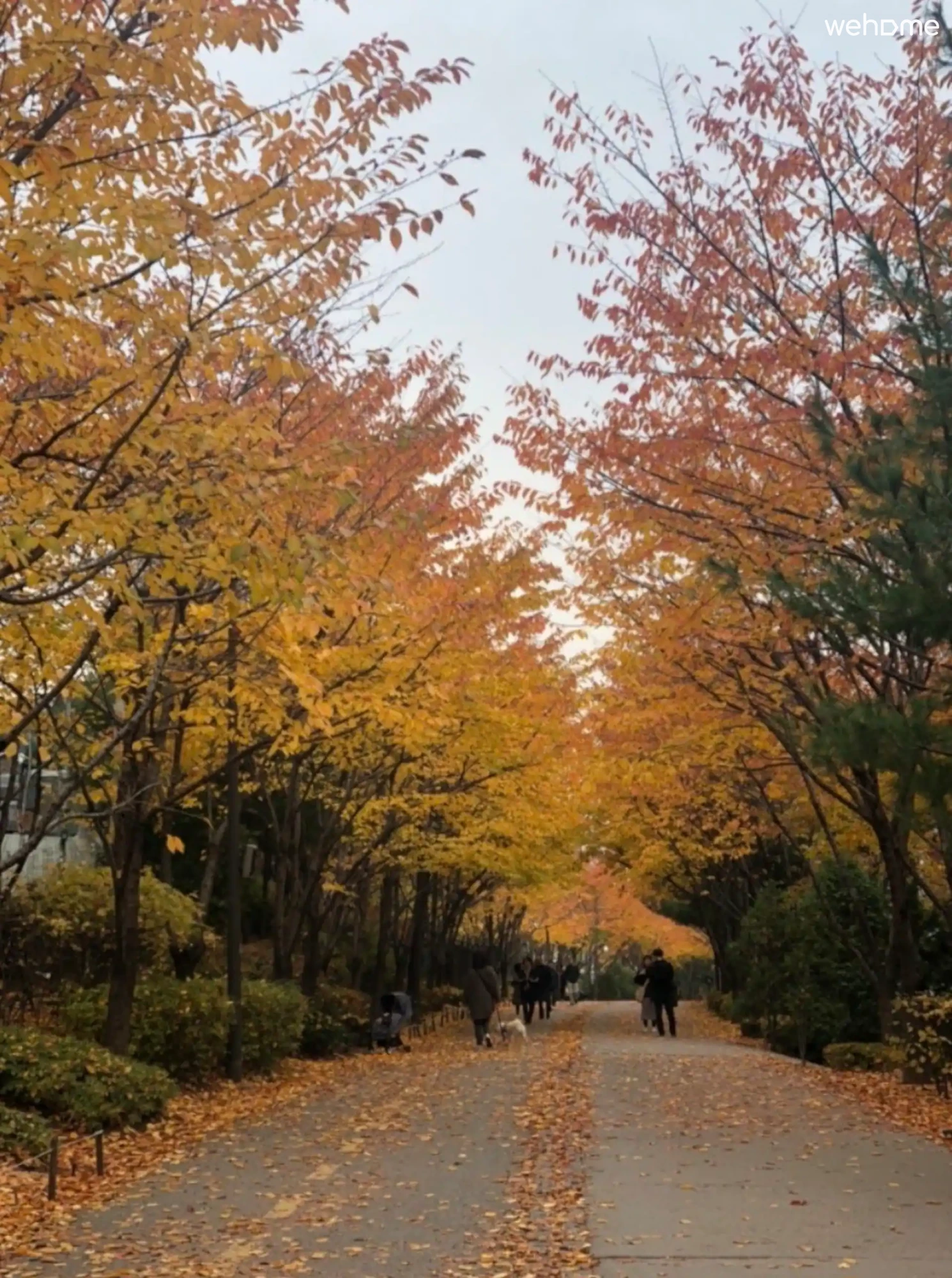 숙소 이미지 89