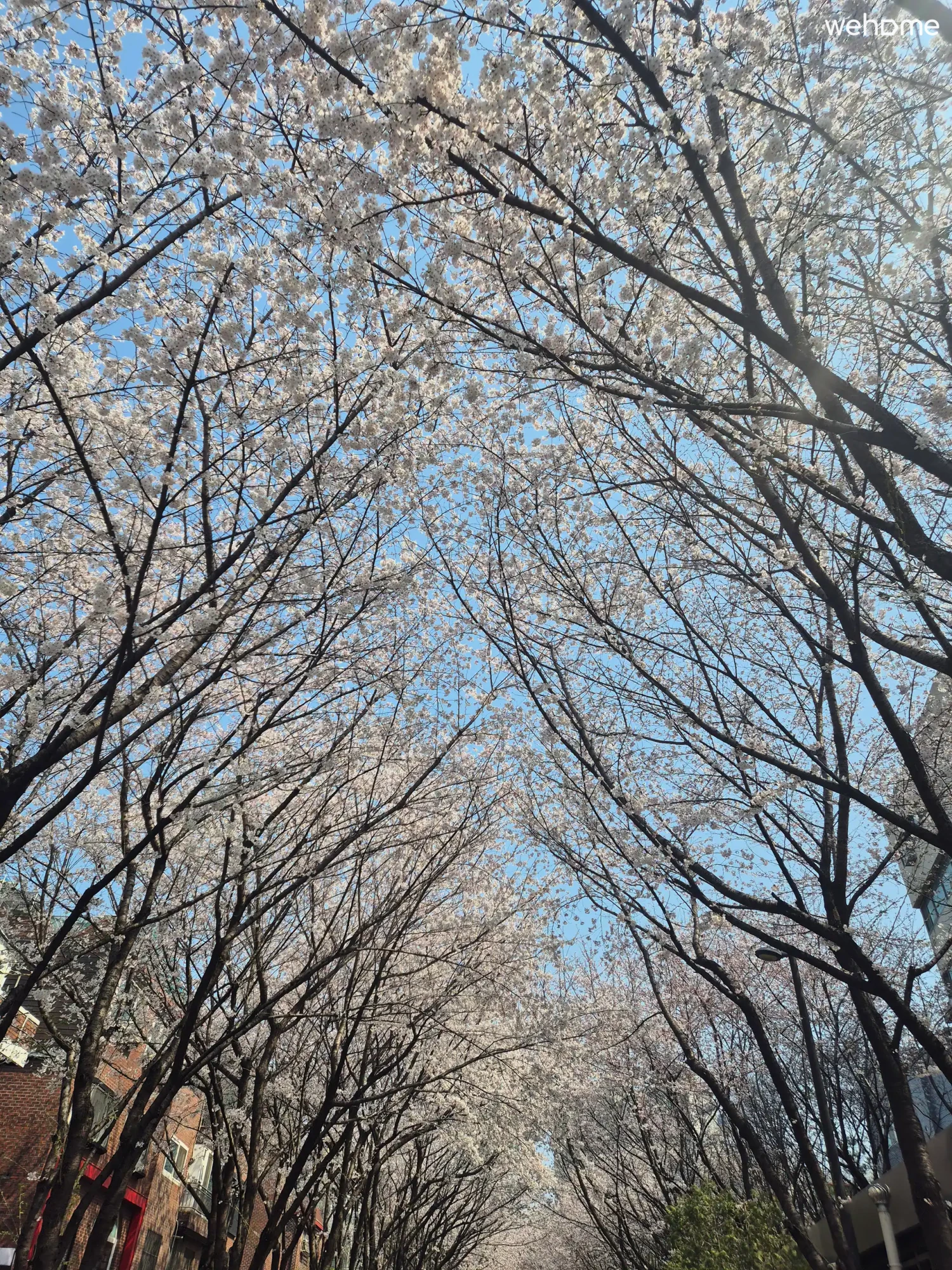 숙소 이미지 88