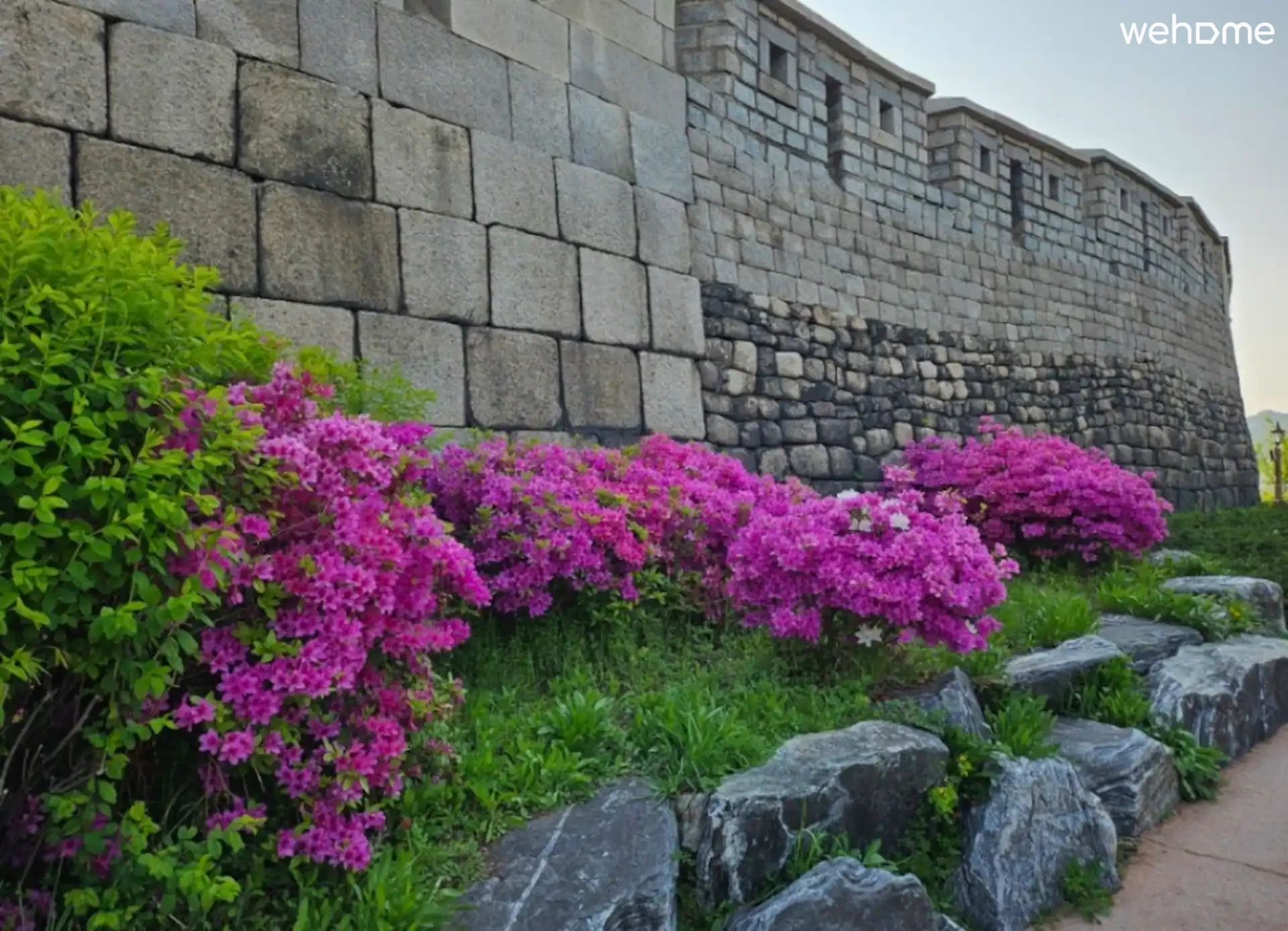 숙소 이미지 55