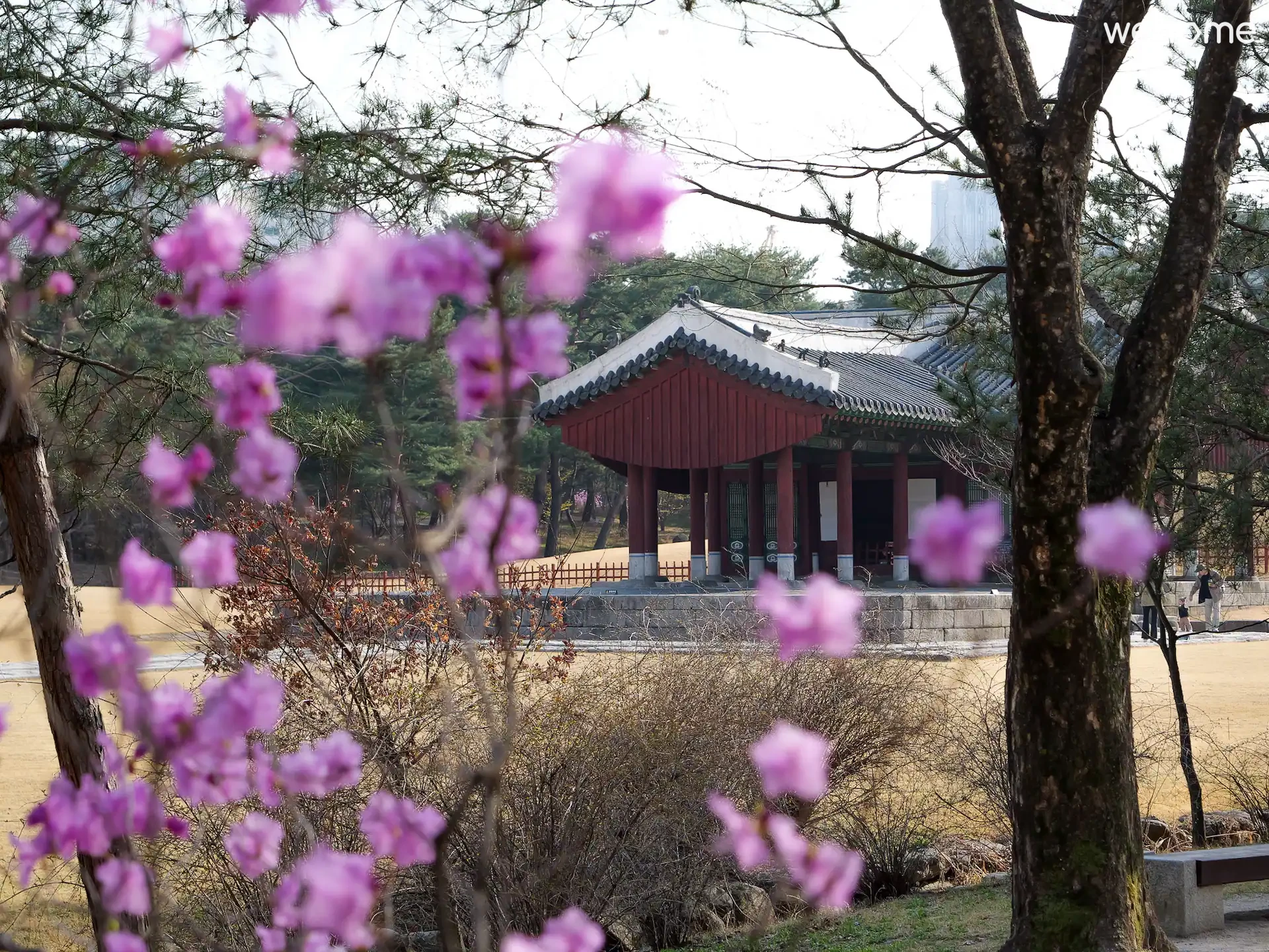 숙소 이미지 32