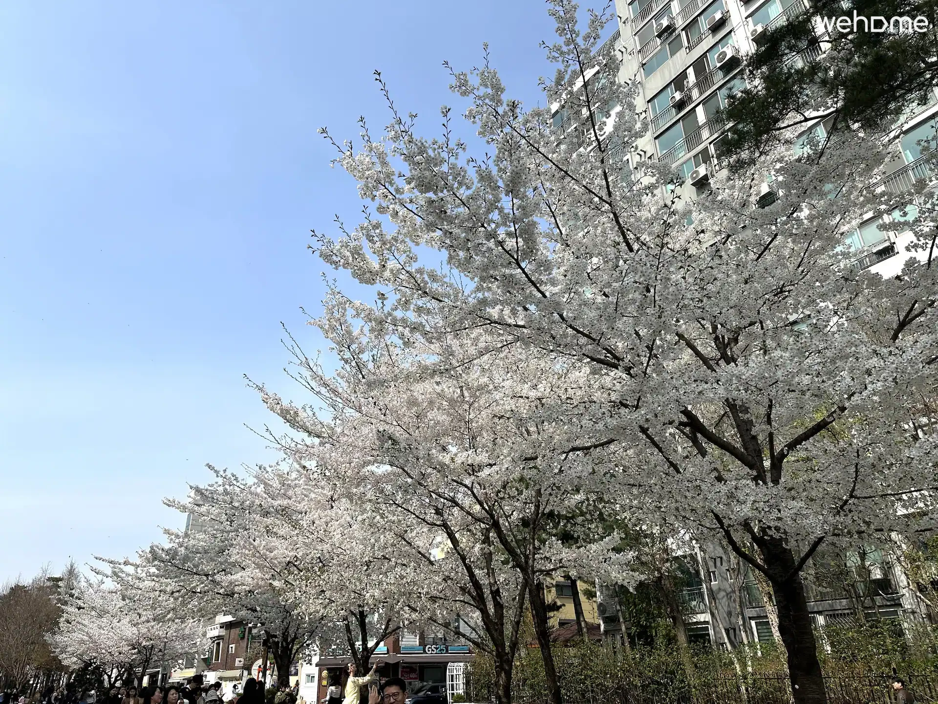숙소 이미지 104