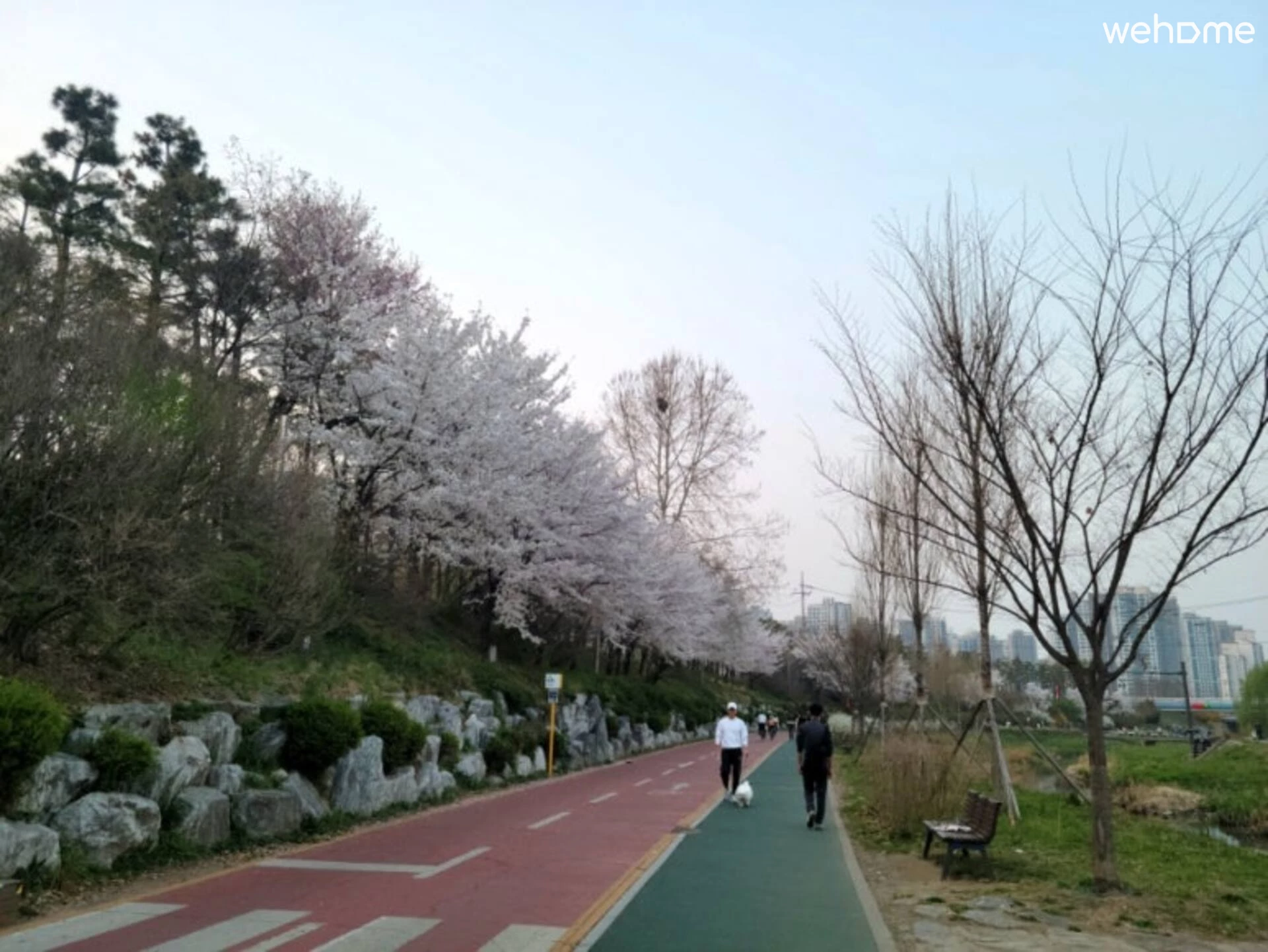 숙소 이미지 50
