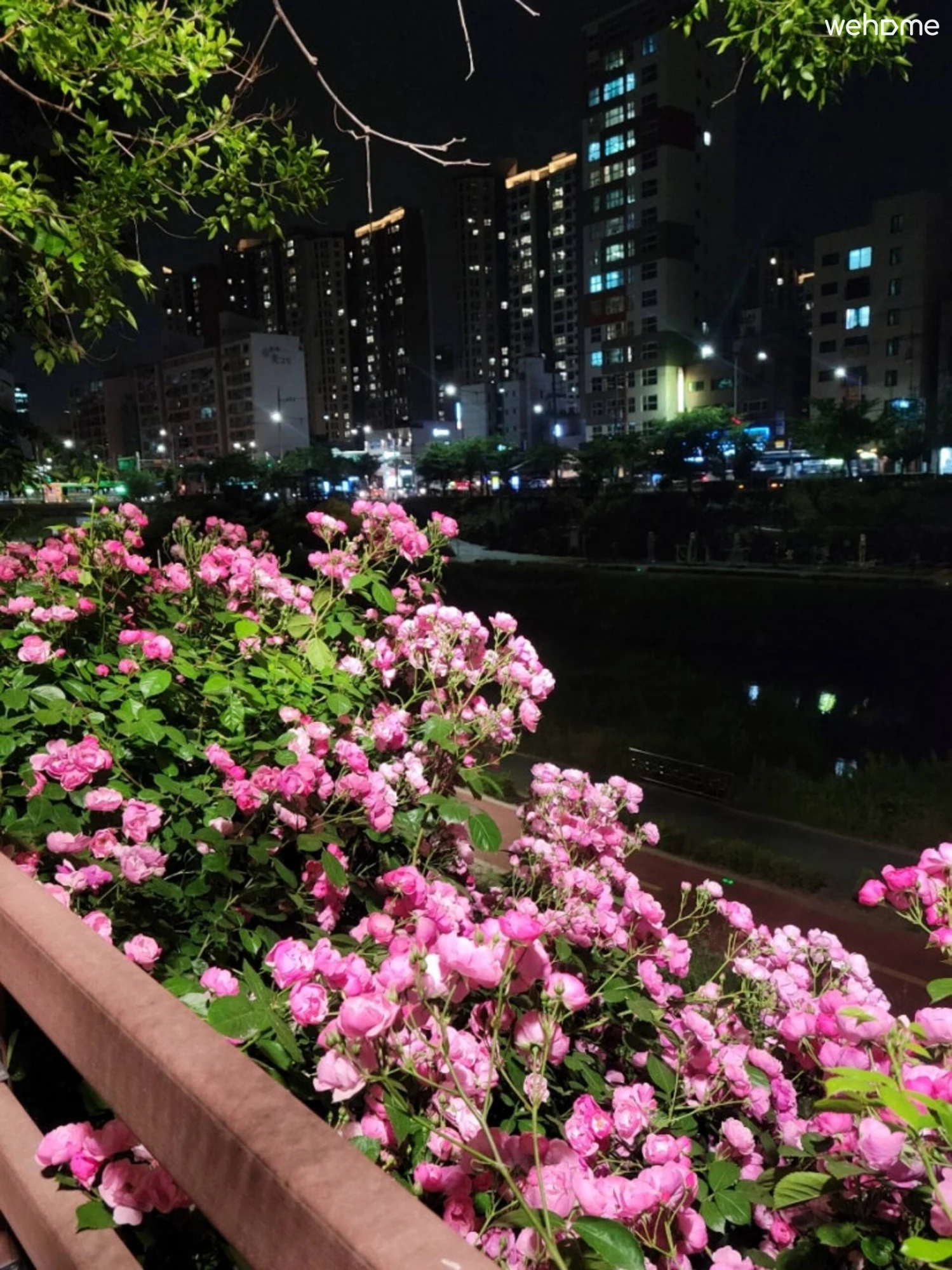 숙소 이미지 47