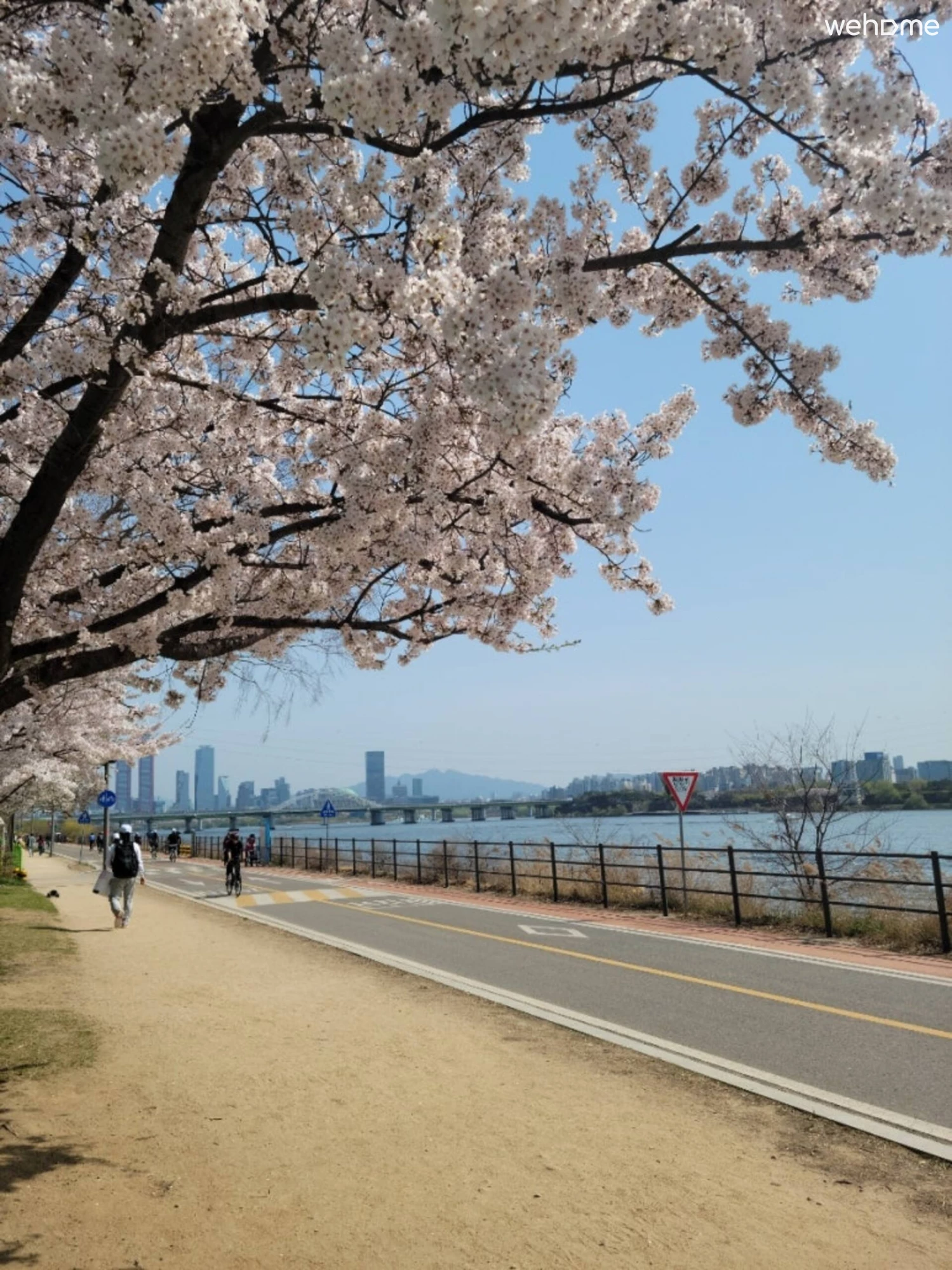 숙소 이미지 43