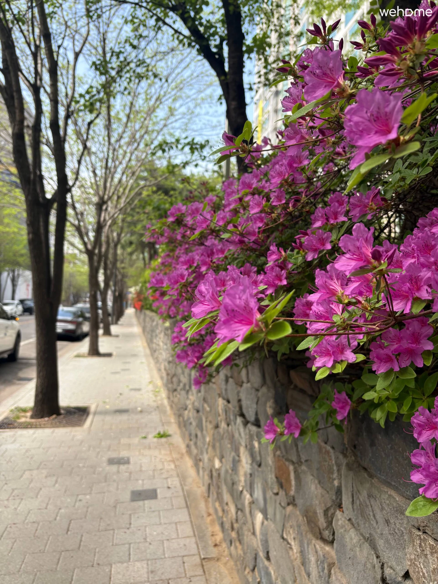 숙소 이미지 57