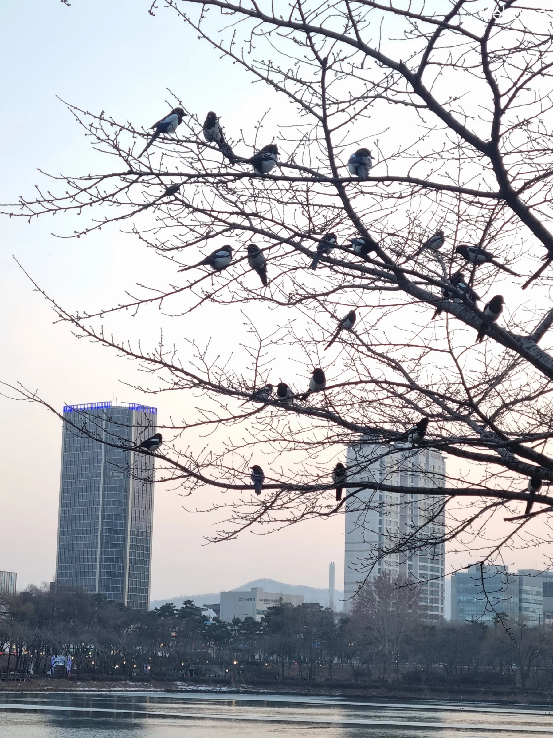 숙소 이미지 67