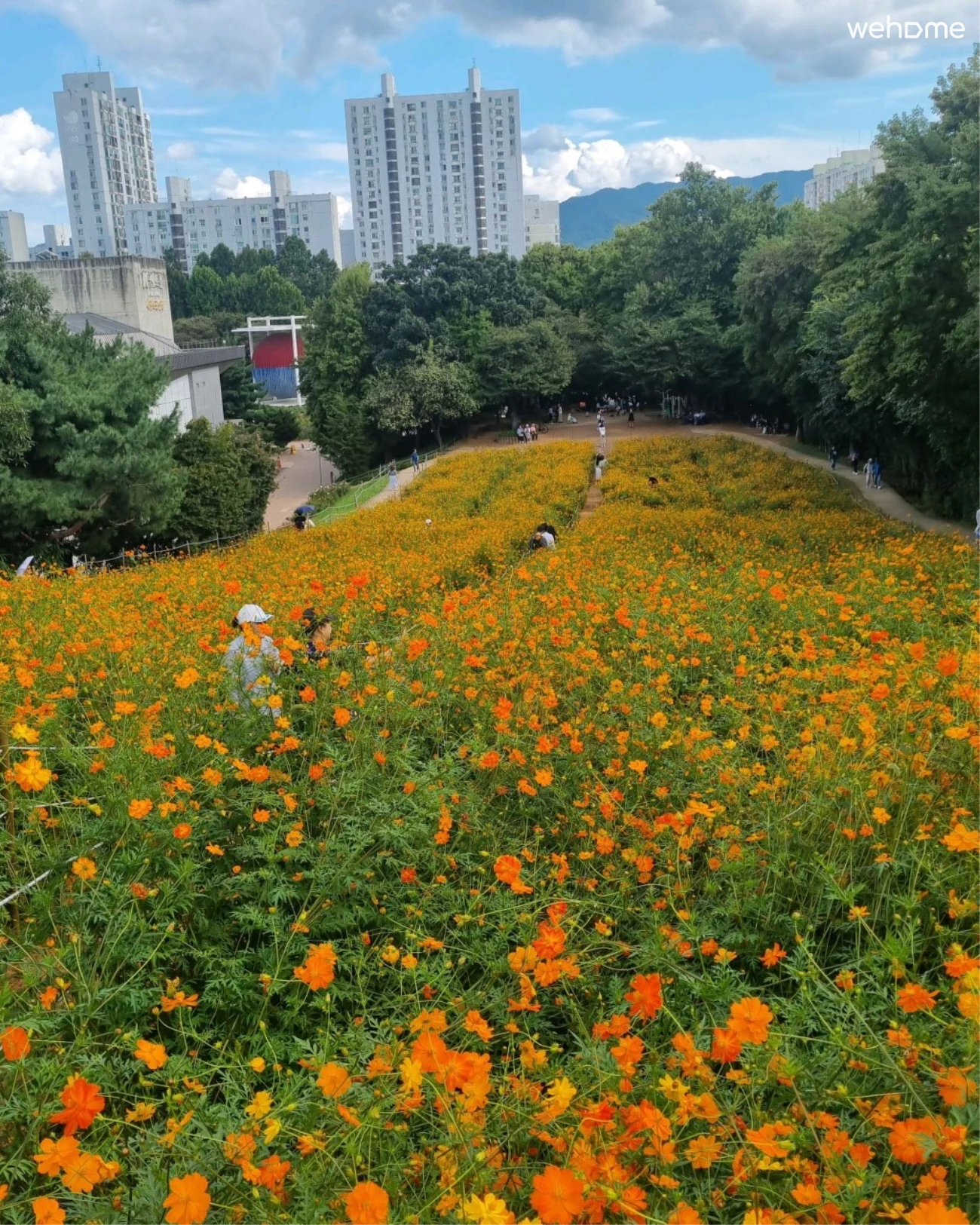 숙소 이미지 60