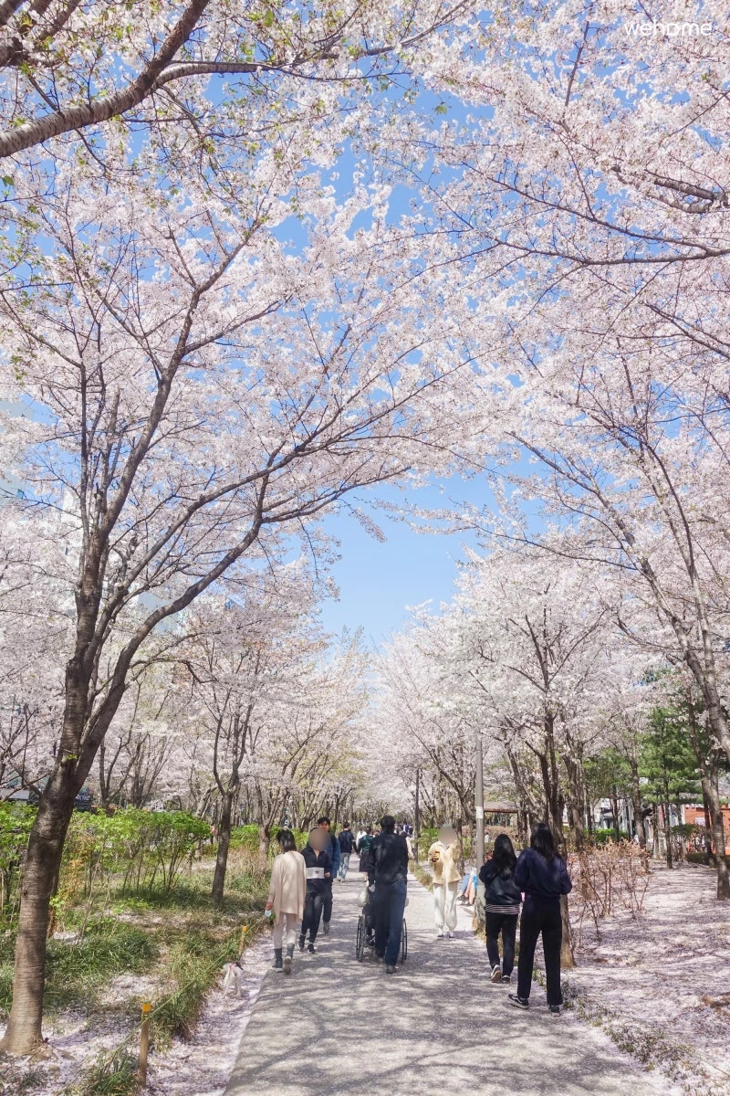 숙소 이미지 25