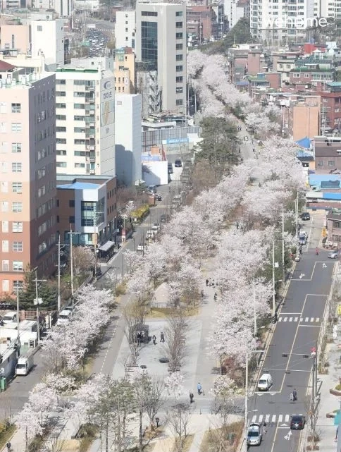 숙소 이미지 29