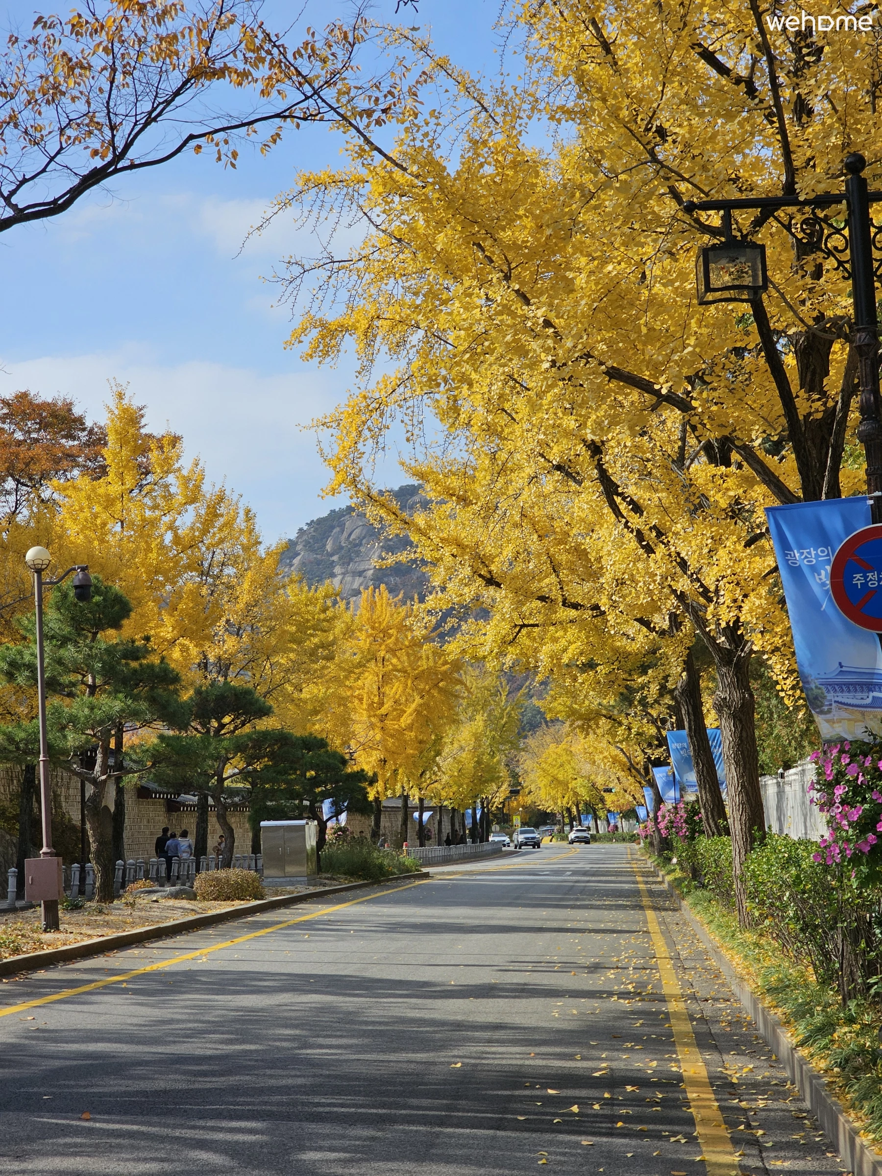 숙소 이미지 146