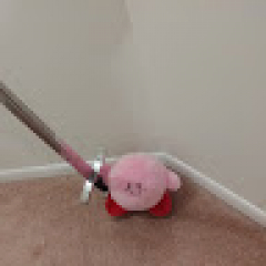 호스트