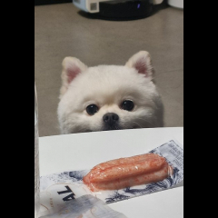 호스트