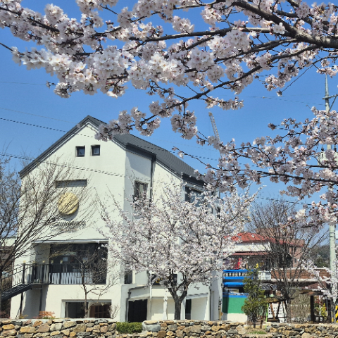 호스트