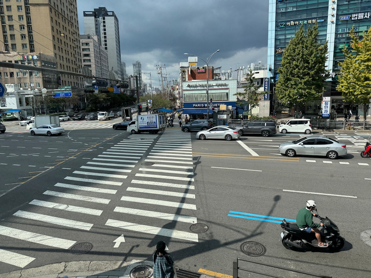 주변 조용하고 맛있는 음식이 많은 아늑한 집
