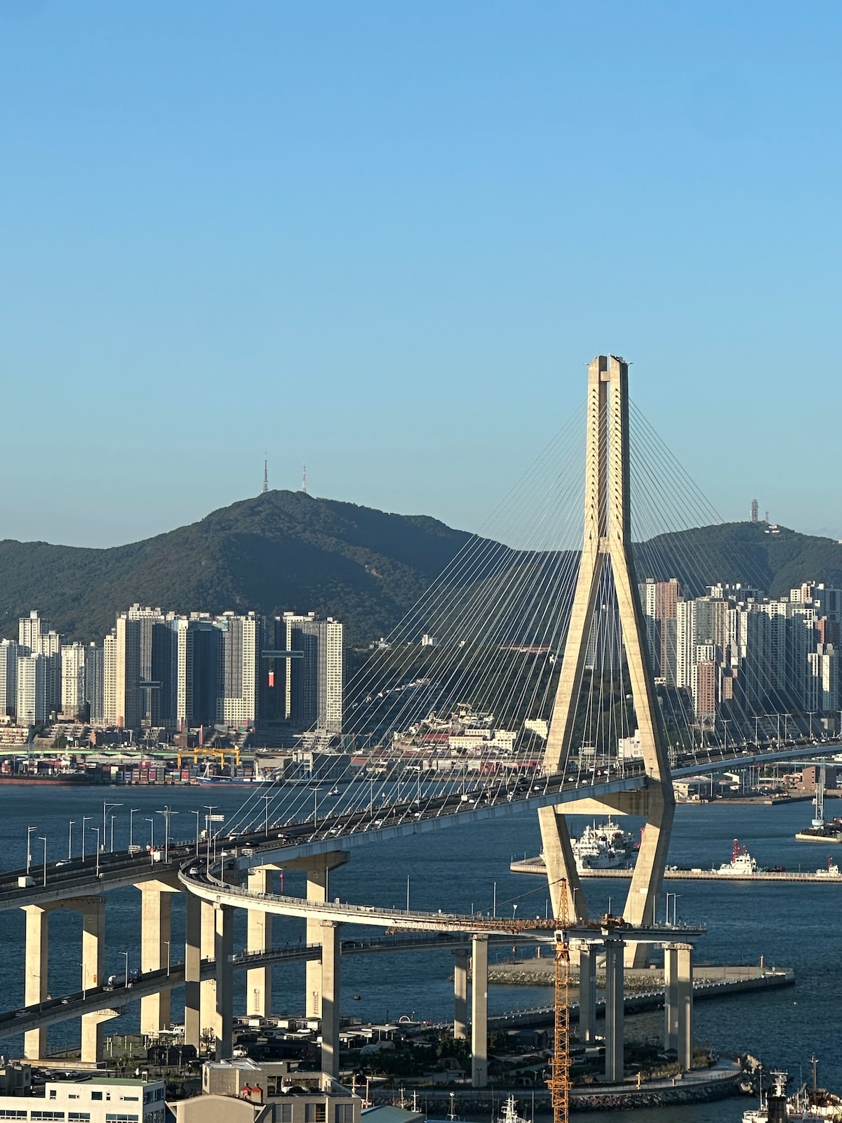 영도 청학 동백, 자쿠지, 부산항대교 파노라마뷰, 힐링독채, 감성펜션