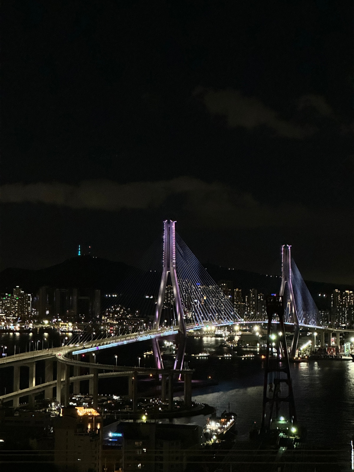 영도 청학 동백, 자쿠지, 부산항대교 파노라마뷰, 힐링독채, 감성펜션